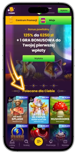 Bizzo Casino konto gracza saldo i dostęp do gier