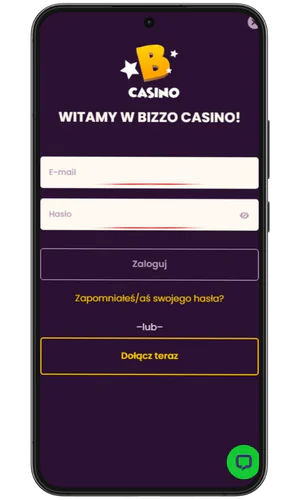 Wprowadź swój adres e-mail i hasło Bizzo