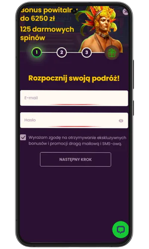 Wprowadź swój adres e-mail i hasło Bizzo